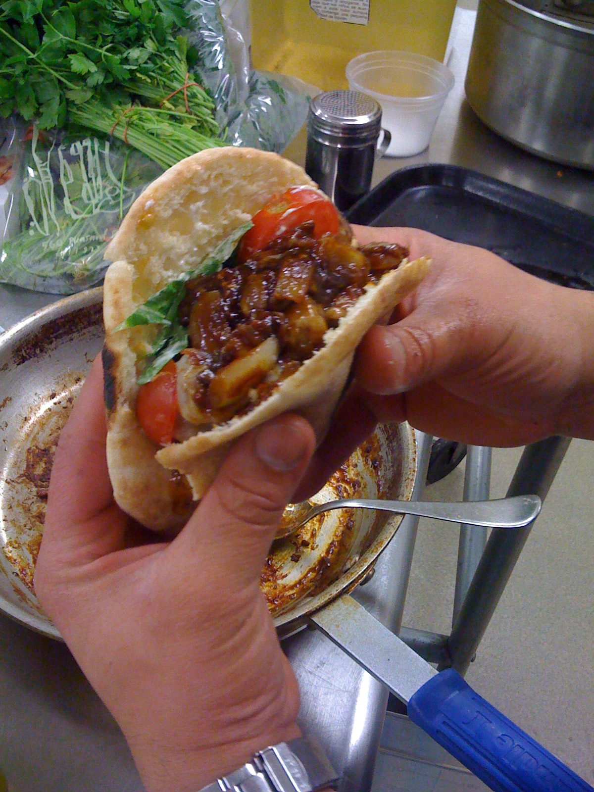 Protein Sandwich