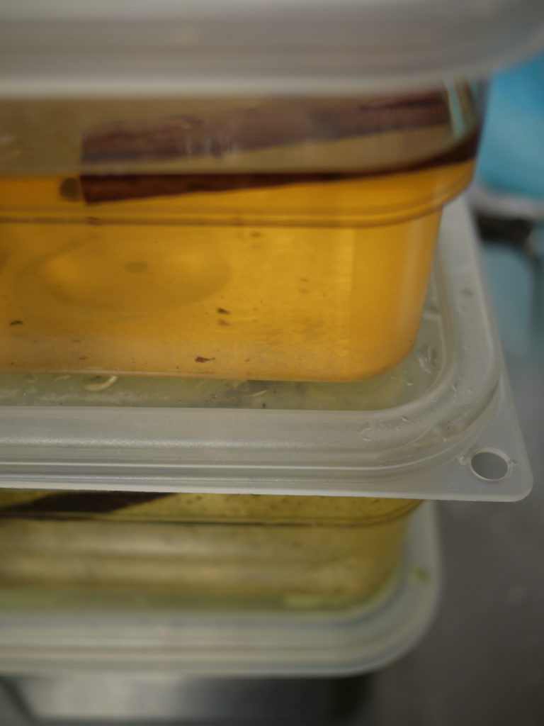 Sodas Clover Food Lab