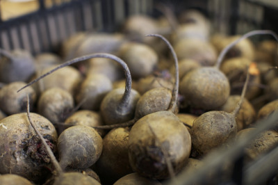 Local Food