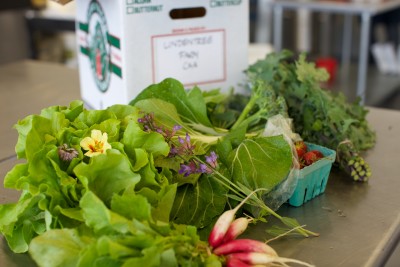 Farmshare from Lindentree Farm
