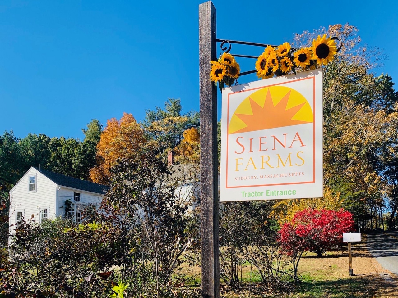 restaurants in sudbury ma